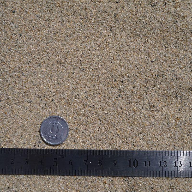 74 Off 金魚 メダカの大粒珠五色砂利 2 5kg 水槽の砂 金魚の砂 桜大磯砂 川砂 Shipsctc Org