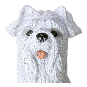 即購入可★ ミニチュア・シュナウザー 【BCD1002071413】(36300円)