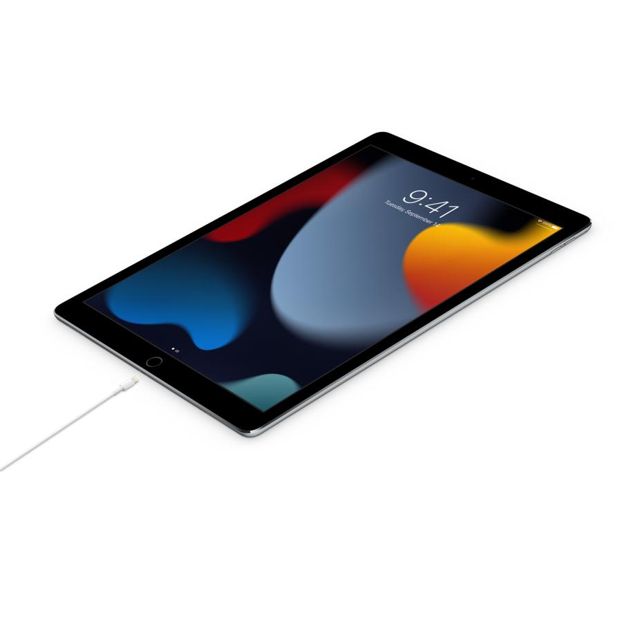 Apple アップル アイフォン アイパッド iPhone iPad 純正 充電 USB-C