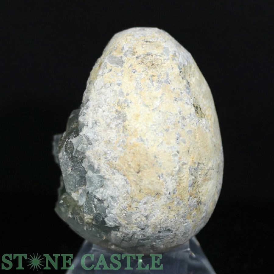 石流通センター 一点物 天然石 原石 セレスタイト (EX) たまご型 No.74
