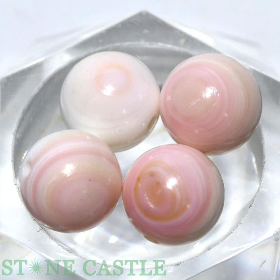 石流通センター 丸ビーズ クイーンコンクシェル (3A) 約12mm 粒売り(2 