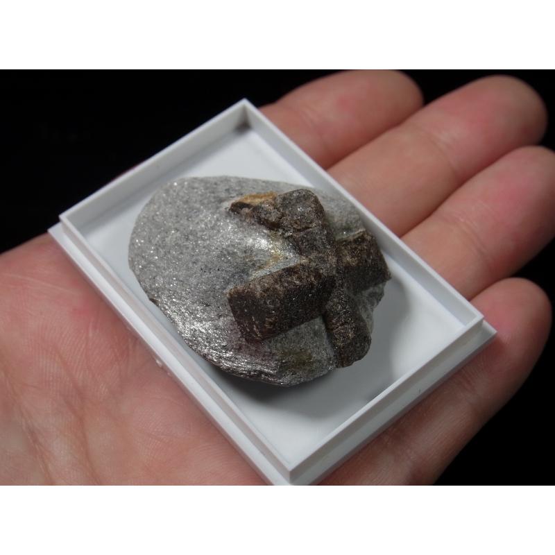 ロシア産 十字石 直交型 （スタウロライト） : ストーンズクラブ