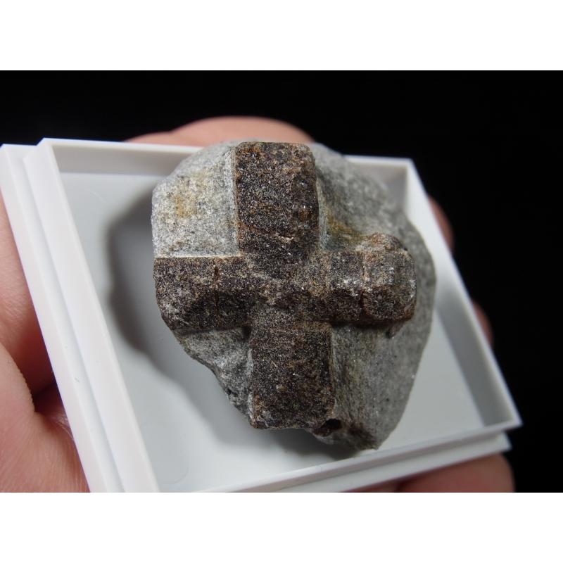 鉱物標本　スタウロライト　十字石　直交型　ロシアコラ半島産　パワーストーンかも？ ロシア産 十字石 直交型 （スタウロライト） : ストーンズクラブ