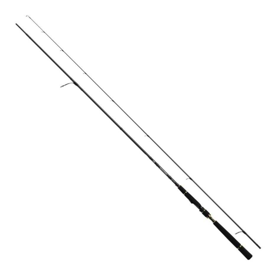 ブランド買蔵 ダイワ Daiwa シーバスロッド スピニング モアザン エキスパート Ags スピニングモデル 94lml シーバス釣り 釣り竿 オンライン最安値 Www Web Imperiovizar Com