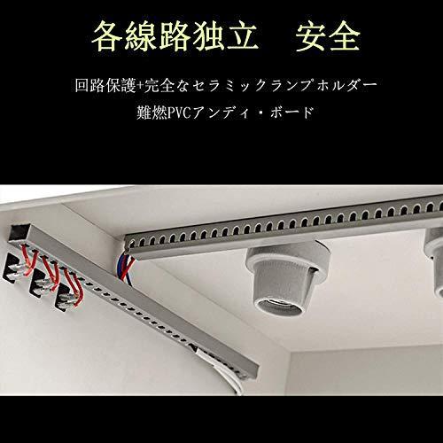 Takimi 爬虫類飼育ケージ 亀トカゲヘビ飼育ボックス 爬虫類 ケース 小動物ハウス 保温ケース お手入れ簡単 (80*40*40cm 全景) 