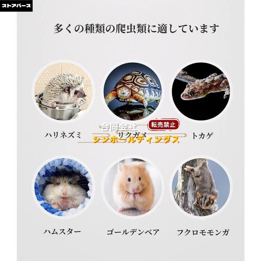 モモンガ ケージ フクロモモンガ ケージ 天窓付き 専用ケージ 掃除 移動用 飼育箱 横型 天然木 アクリル製 透明板 木製 踏み台 階段 簡単な組み立て ステージ ス_2