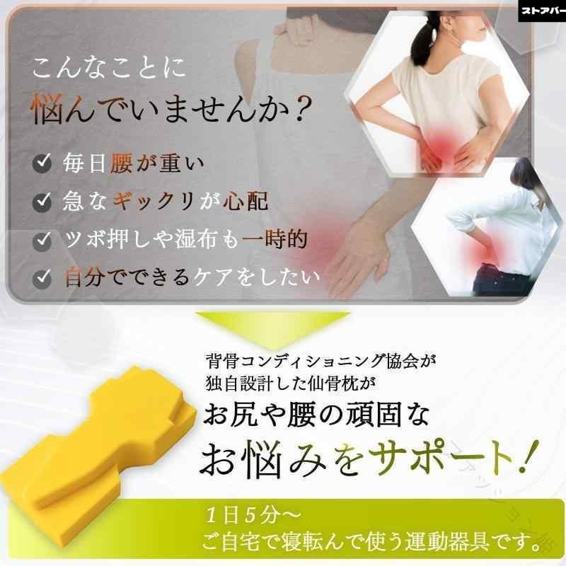 背骨コンディショニング協会 仙骨枕 ストレッチ トレーニング グッズ 器具 クッション 腰 首 肩 姿勢 背中 用健康サポート用品 : ストア ...