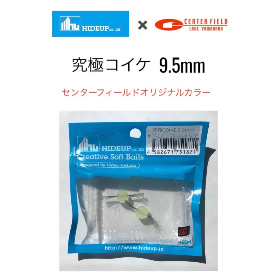 ハイドアップ　コイケ HIDEUP/ハイドアップ 究極コイケ 9.5mm センターフィールドオリジナル