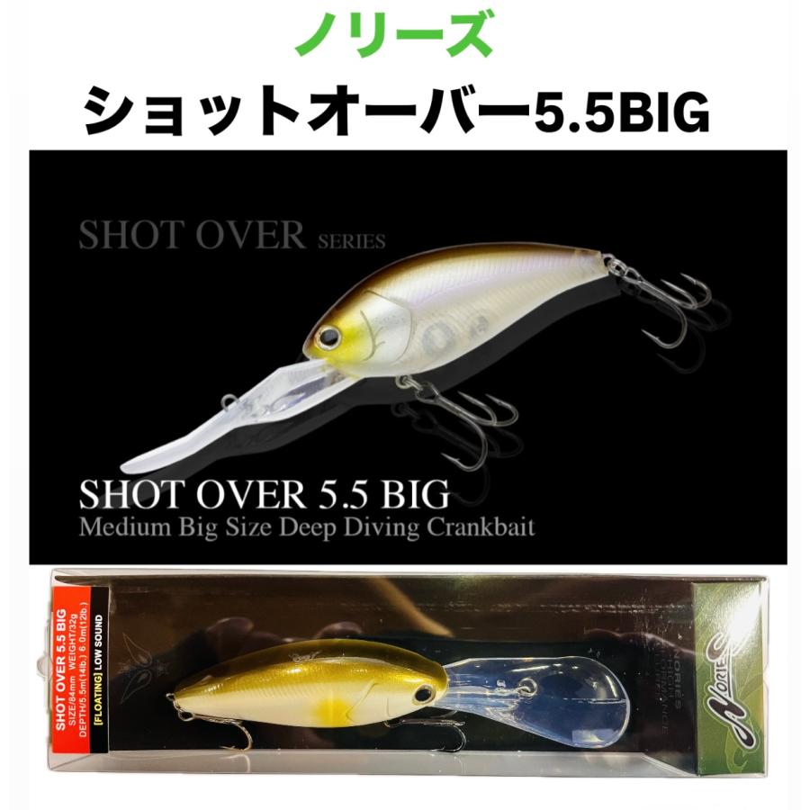 NORIES（ノリーズ） ショットオーバー5.5 BIG（ビッグ） : センター
