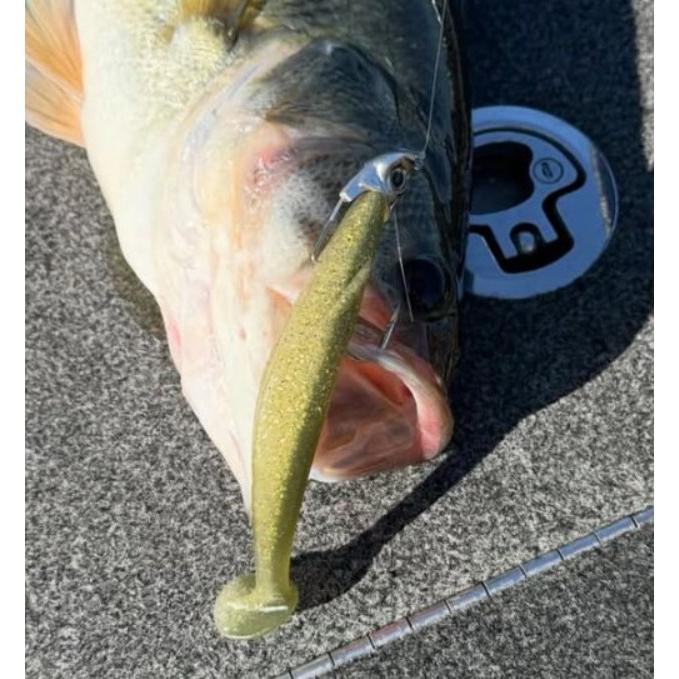 deps（デプス） サカマタスイマー 5.3インチ : センターフィールド