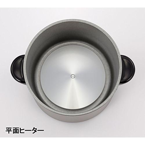 タイガー 電気フライヤー「はやあげ」CFE-A100-T CFE A100