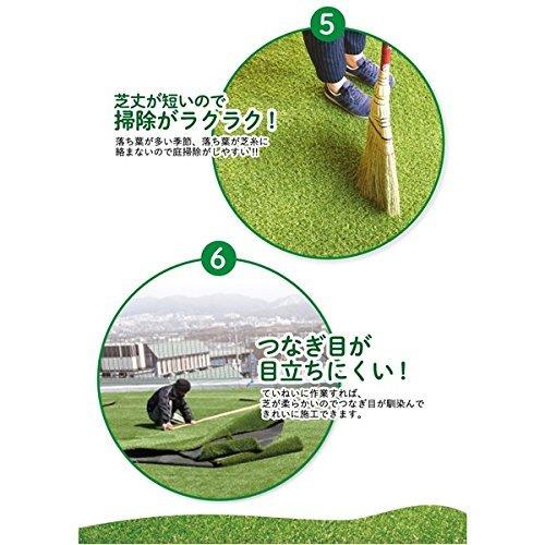 高品質 形状記憶 人工芝 メモリーターフ スウィート 巾1m×長さ10m(芝の長さ20mm) MTS20-0110 