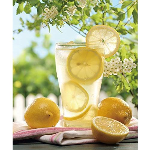 海外正規品 Nebula ネブラ カートリッジ 檸檬ノ花 予約販売品 Www Doctor Plan Com