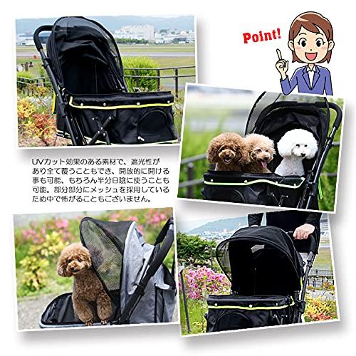 オーダー受付　6犬種summer　ご予約ページ　レアパネル　7/16 オーダー受付 6犬種summer ご予約ページ レアパネル 7/16