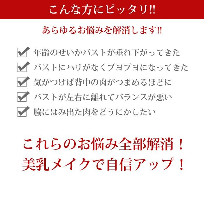 脇肉スッキリ 綺麗な谷間 スッキリ背中をGET！ 脇肉スレンダー ブラジャー＆ショーツのセットブラジャー 脇高 送料無料｜store-delight｜02