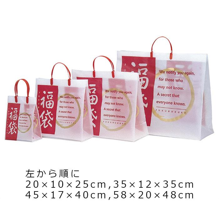 ストア・エキスプレス 【10枚入り】福袋 フロストバッグ 35×12×35_58