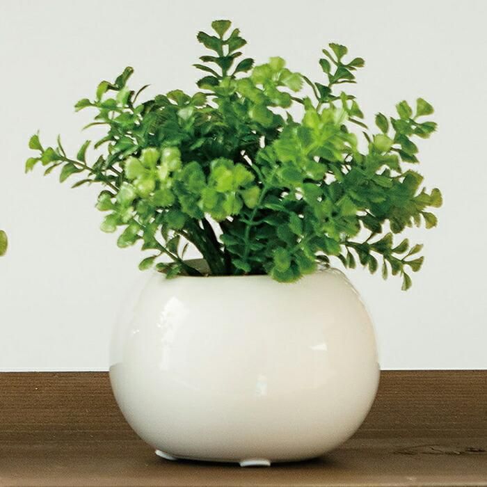 ストア・エキスプレス フェイクグリーン 消臭 観葉植物 フェイク 人工