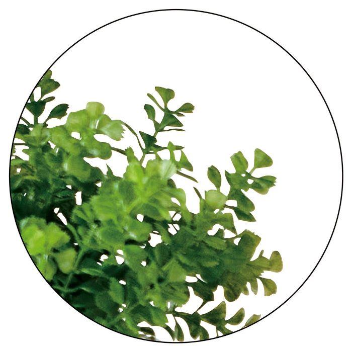 ストア・エキスプレス フェイクグリーン 消臭 観葉植物 フェイク 人工