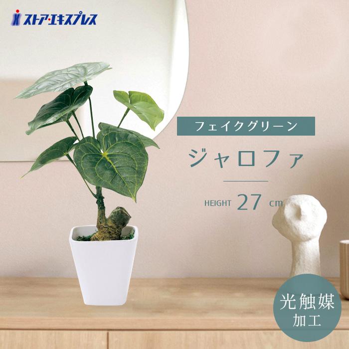フェイクグリーン 消臭 観葉植物 フェイク 人工観葉植物_【光触媒加工】インテリアグリーン ジャロファ_61-798-99-1_8188-199（Yahoo!・ストア・エキスプレス-業務用店舗什器）