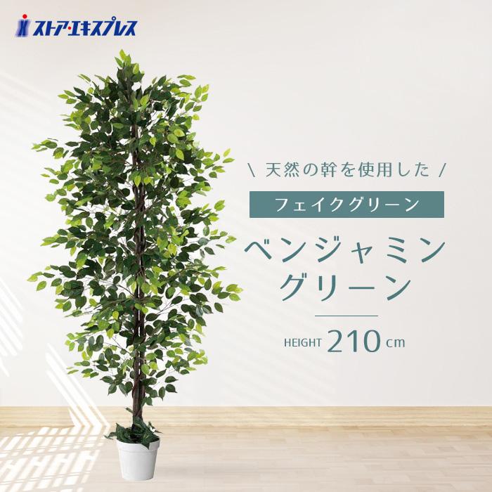光触媒　人工観葉植物　ウォールグリーン　フェイクグリーン　ベンジャミンフィカスw 光触媒 人工観葉植物 ウォールグリーン フェイクグリーン