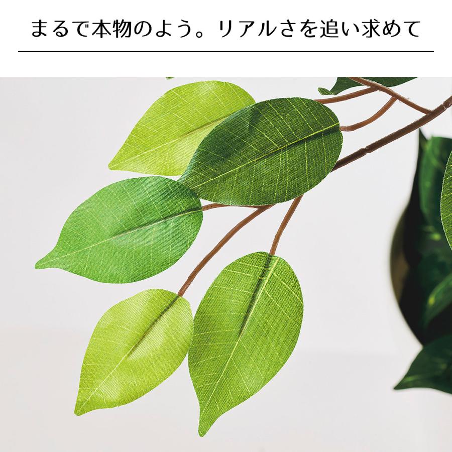 フェイクグリーン 観葉植物 フェイク 人工観葉植物_ベンジャミングリーン H210cm_61-754-95-1_8724-4730_2