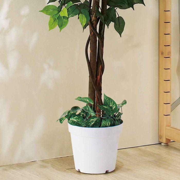 ストア・エキスプレス フェイクグリーン 観葉植物 フェイク 人工観葉