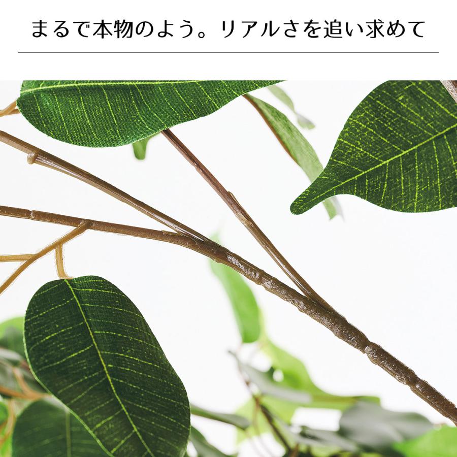 フェイクグリーン 観葉植物 フェイク 人工観葉植物_ベンジャミングリーン H210cm_61-754-95-1_8724-4730_3