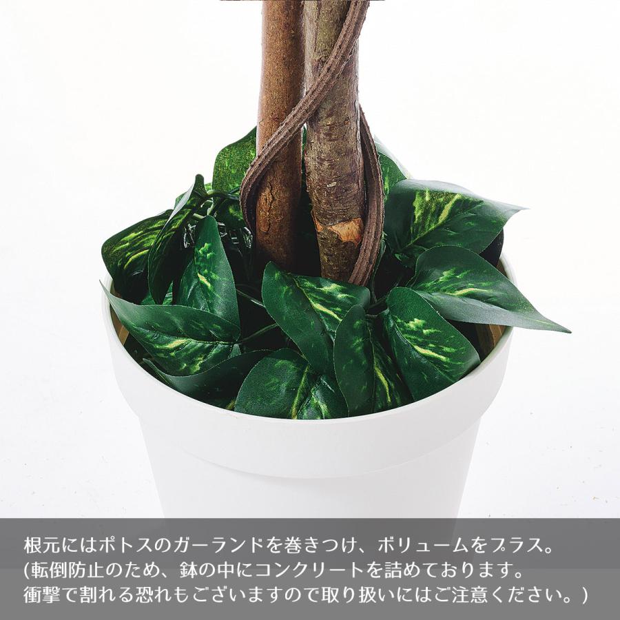 ストア・エキスプレス フェイクグリーン 観葉植物 フェイク 人工観葉