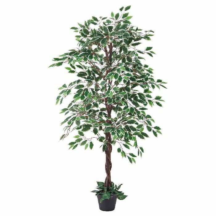 フェイクグリーン 観葉植物 フェイク 人工観葉植物_人工樹木 H150cm ベンジャミングリーン／ホワイト 1台_61-780-34-2_8724-850