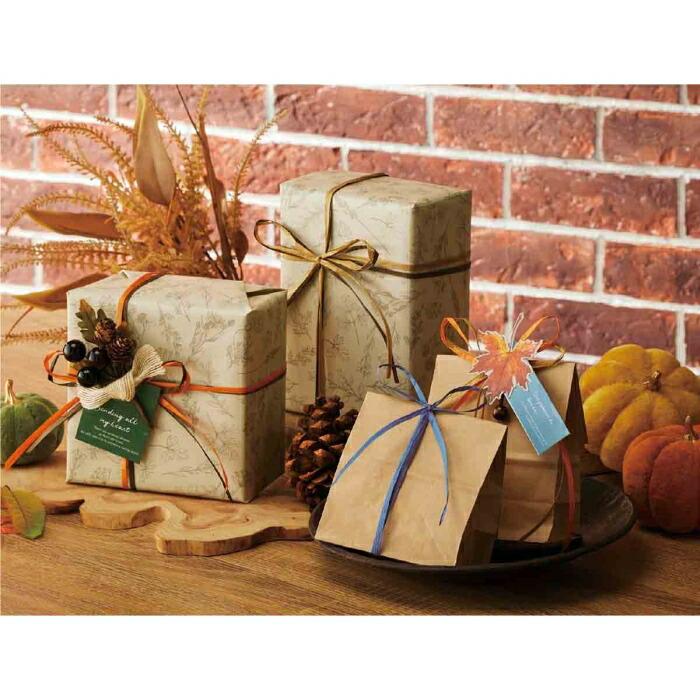 ストア・エキスプレス ラッピング リボン ギフト 手芸_ペーパー