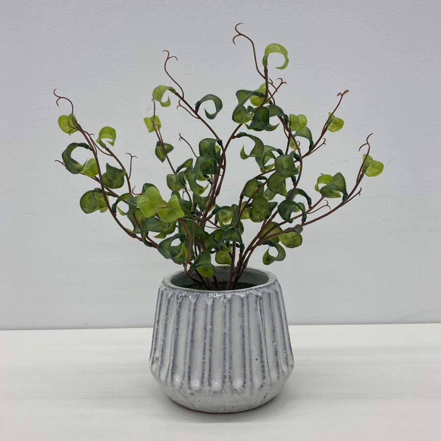 ストア・エキスプレス フェイクグリーン 観葉植物 フェイク 人工観葉