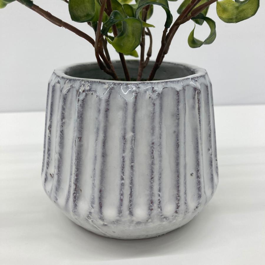 ストア・エキスプレス フェイクグリーン 観葉植物 フェイク 人工観葉