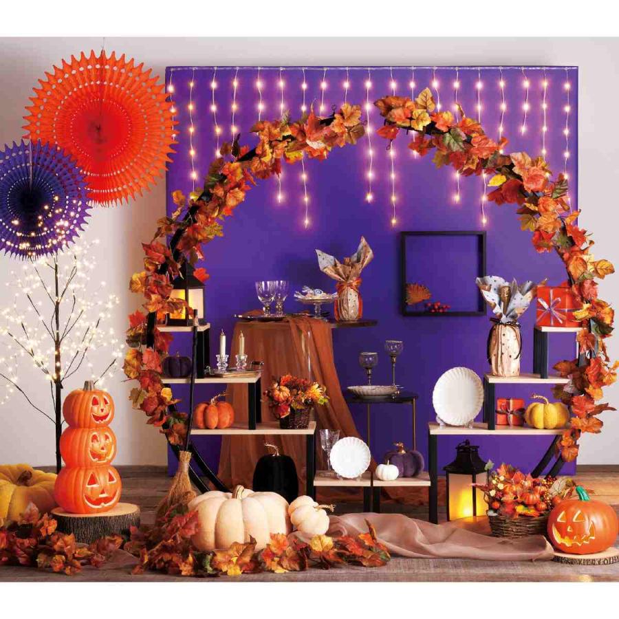 ストア・エキスプレス ラック 棚 収納 おしゃれ_アーチ型ディスプレイ