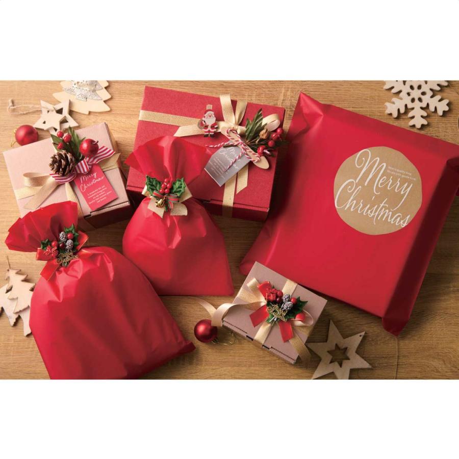 ストア・エキスプレス クリップ ラッピング リボン ギフト_【20個入り