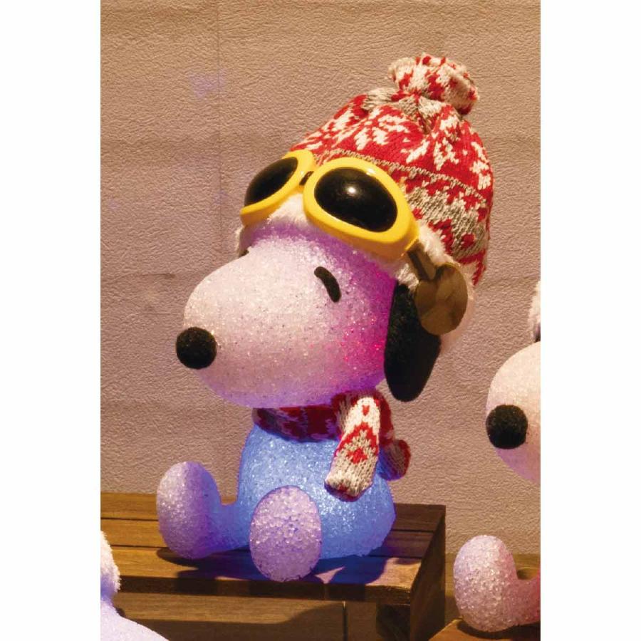 ストア・エキスプレス イルミネーションライト 電飾 室内_クリスマス