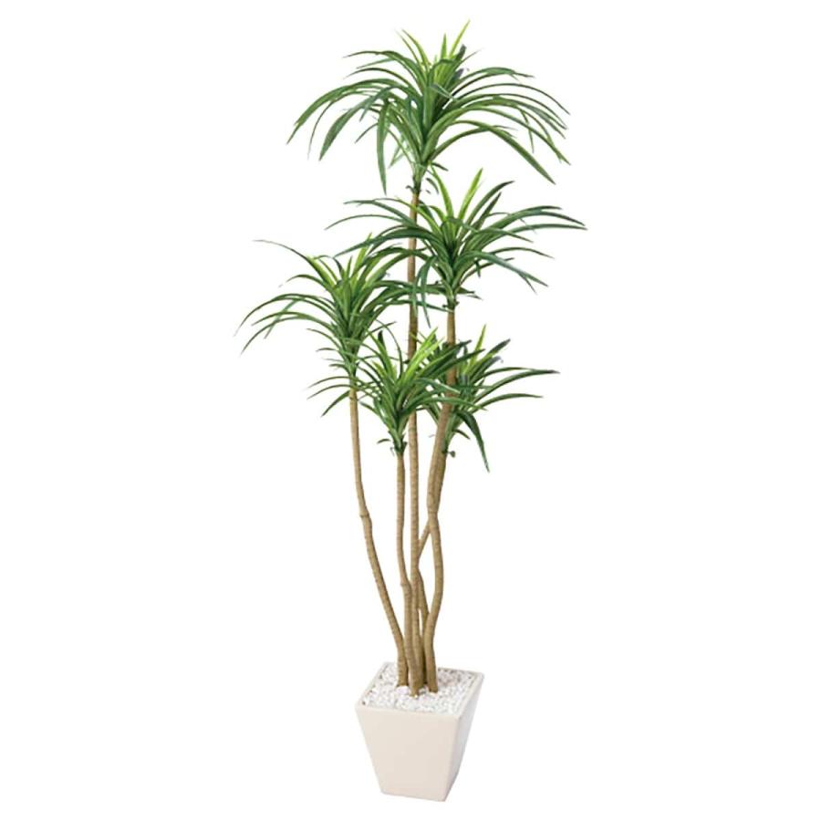 フェイクグリーン 観葉植物 フェイク 人工観葉植物_フェイクグリーン コンシナ 120cm 1鉢_61-173-3-2_6405-61（Yahoo!・ストア・エキスプレス-業務用店舗什器）
