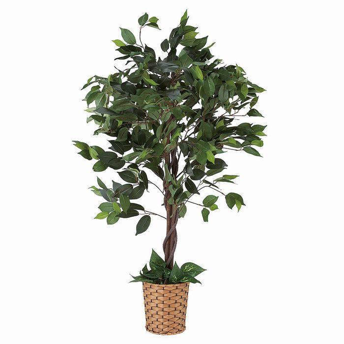 ストア・エキスプレス フェイクグリーン 観葉植物 フェイク 人工観葉