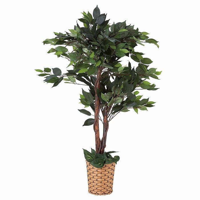 光触媒　人工観葉植物　フェイクグリーン　ベンジャミンダブル高さ1.6 Amazon | フェイクグリーン ベンジャミン ダブル 高さ180cm 【 観葉