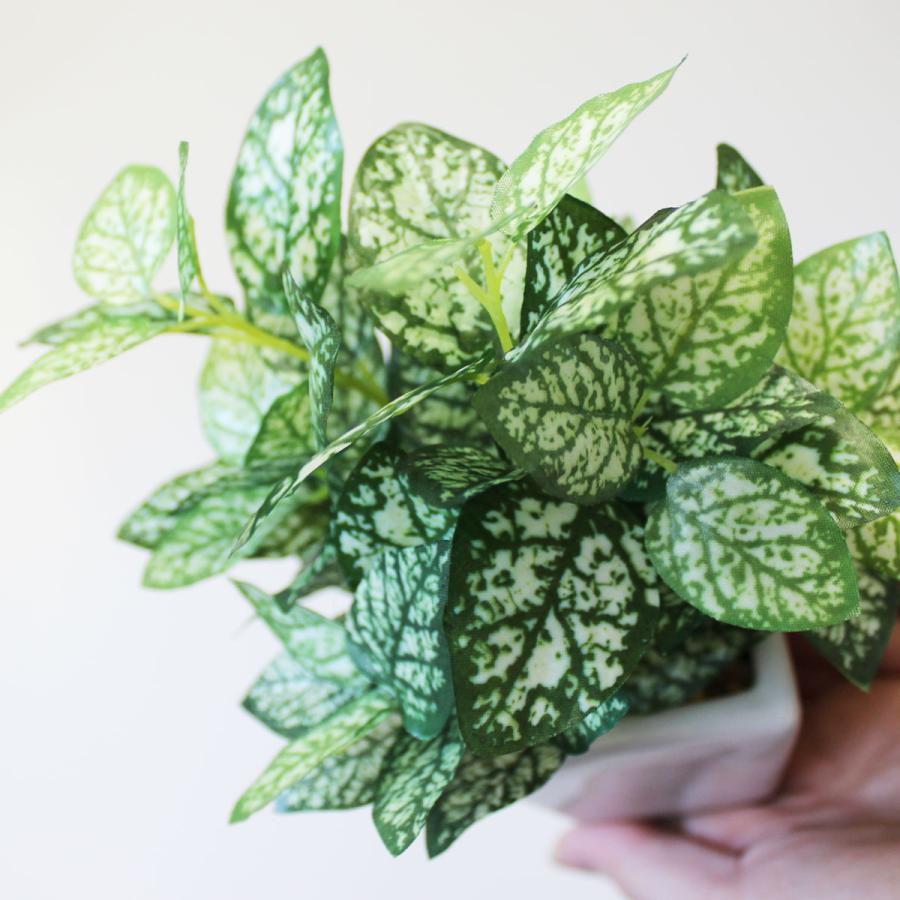 ストア・エキスプレス フェイクグリーン 観葉植物 フェイク 人工観葉 