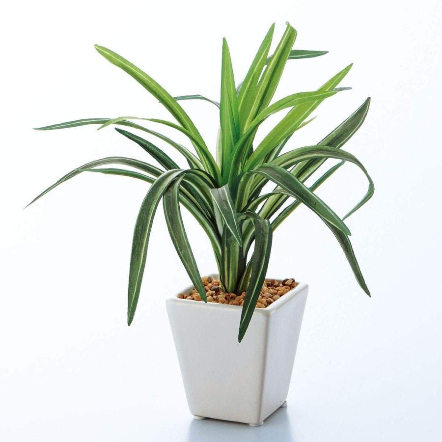 ストア・エキスプレス フェイクグリーン 観葉植物 フェイク 人工観葉