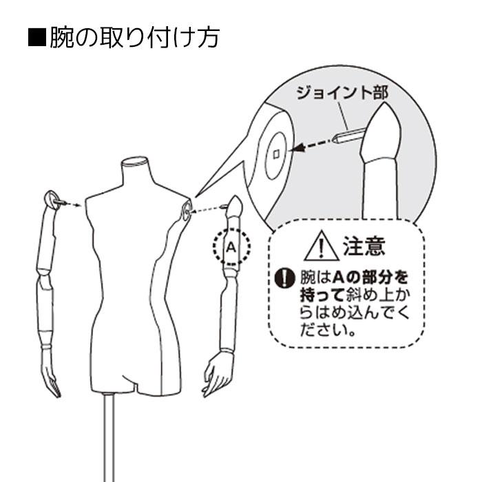 ストア・エキスプレス マネキン トルソー レディース 女性_婦人腕付き  