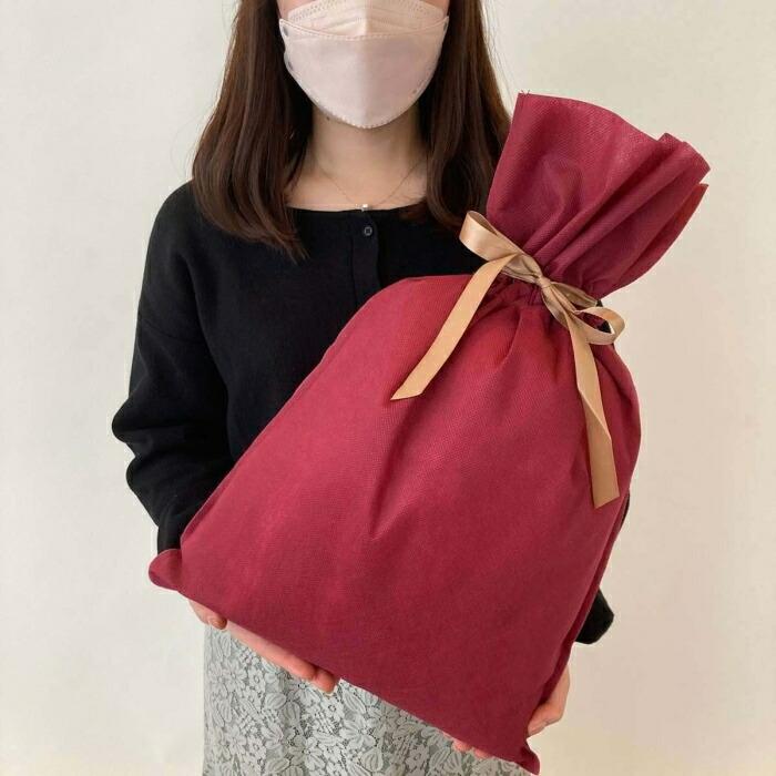 ストア・エキスプレス ラッピング 袋 ギフト かわいい_【10枚入り