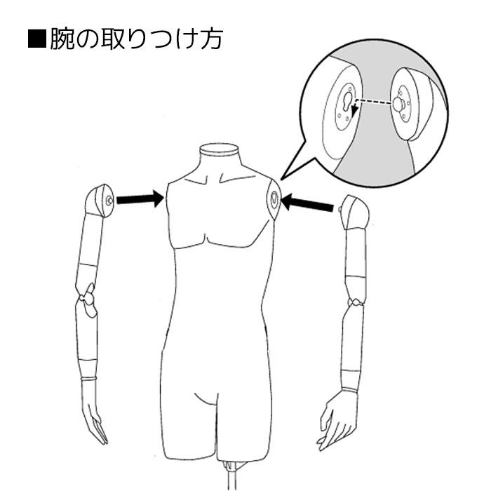 ストア・エキスプレス マネキン トルソー メンズ 男性_軽量ABS製 紳士