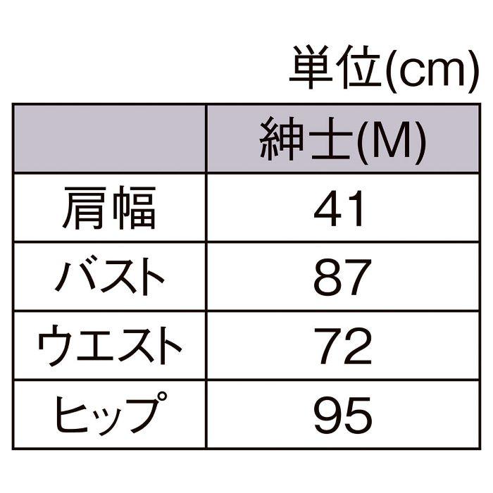 ストア・エキスプレス マネキン トルソー メンズ 男性_軽量ABS製 紳士