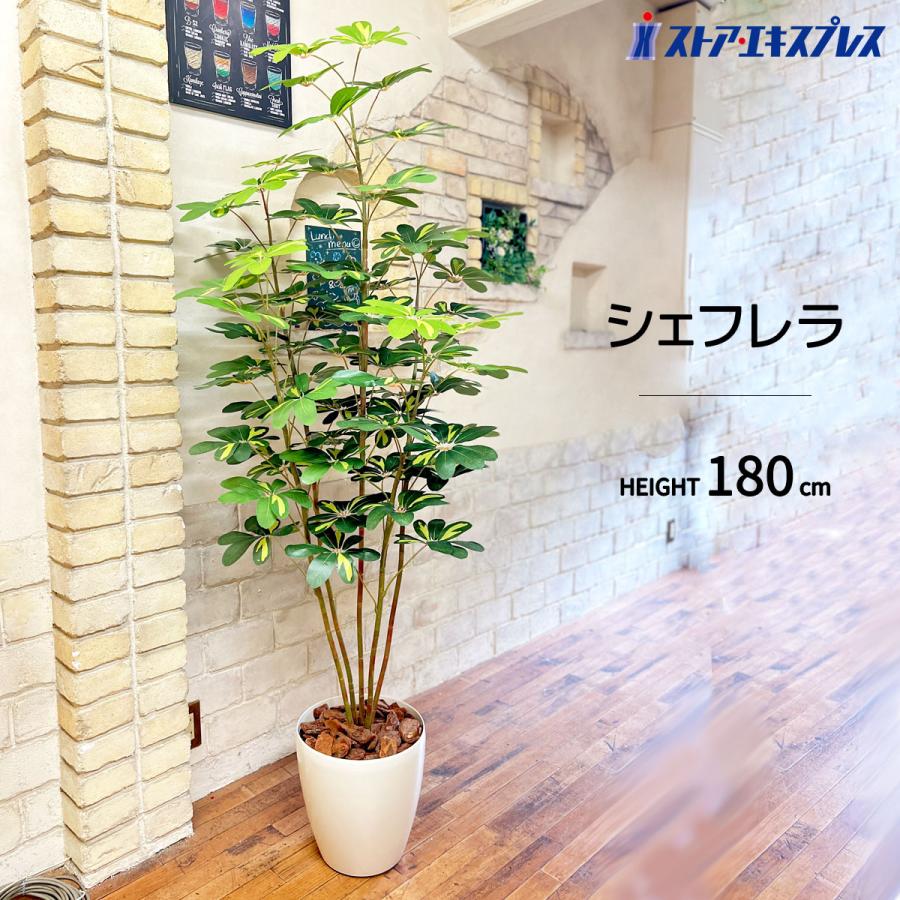 ストア・エキスプレス フェイクグリーン 大型 観葉植物 フェイク 人工