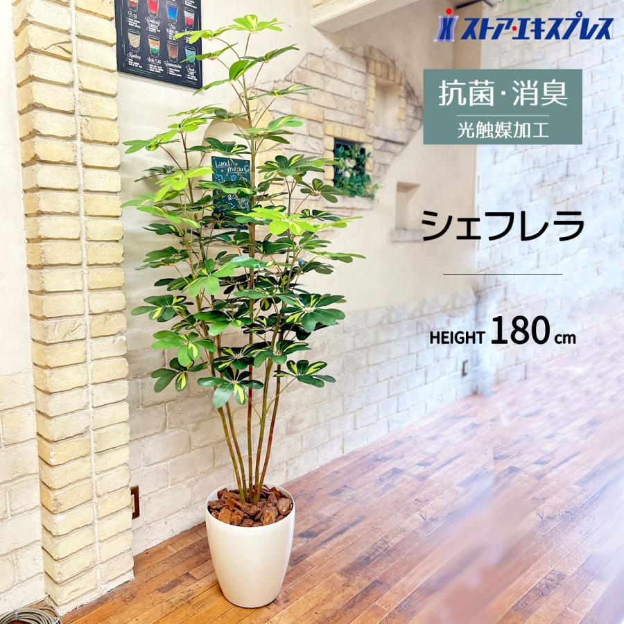 ストア・エキスプレス フェイクグリーン 消臭 大型 観葉植物 フェイク
