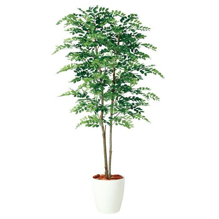 光触媒　人工観葉植物　フェイクグリーン　アカシアディアル150FST ストア・エキスプレス フェイクグリーン 観葉植物 フェイク 人工観葉