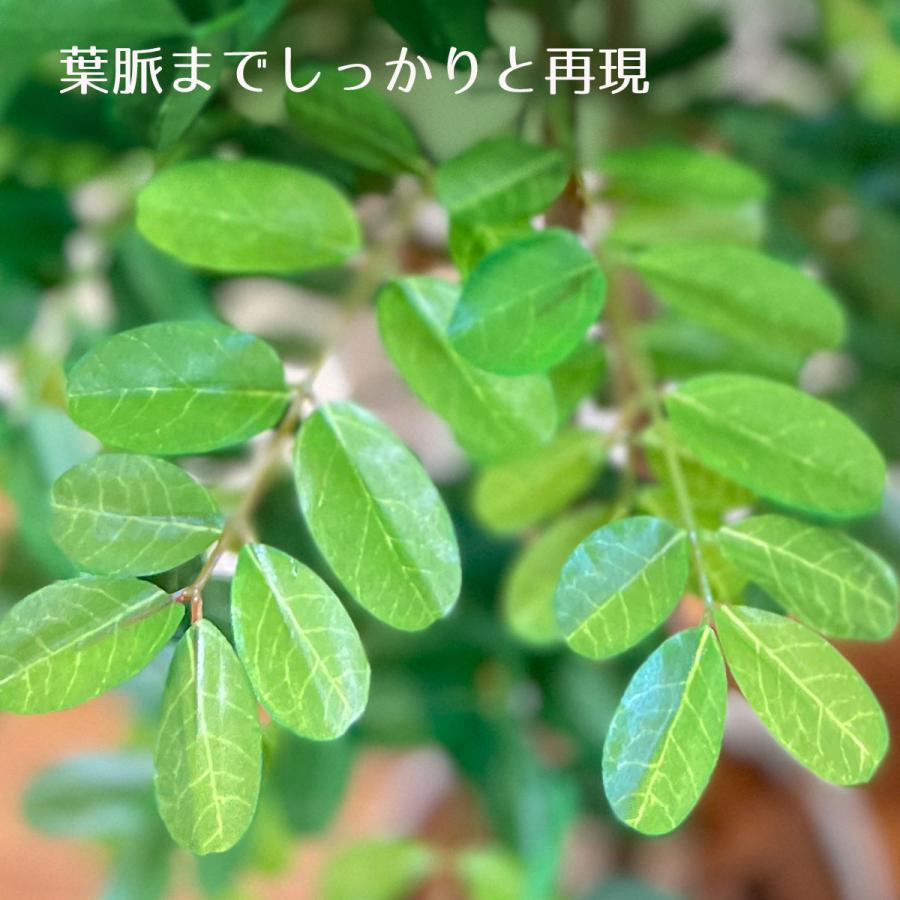光触媒　人工観葉植物　フェイクグリーン　アカシアディアル150FST ストア・エキスプレス フェイクグリーン 観葉植物 フェイク 人工観葉