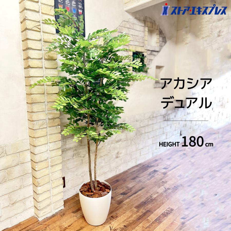 ストア・エキスプレス フェイクグリーン 観葉植物 フェイク 人工観葉