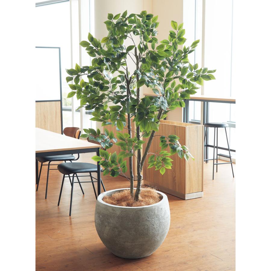 ストア・エキスプレス フェイクグリーン 大型 観葉植物 フェイク 人工